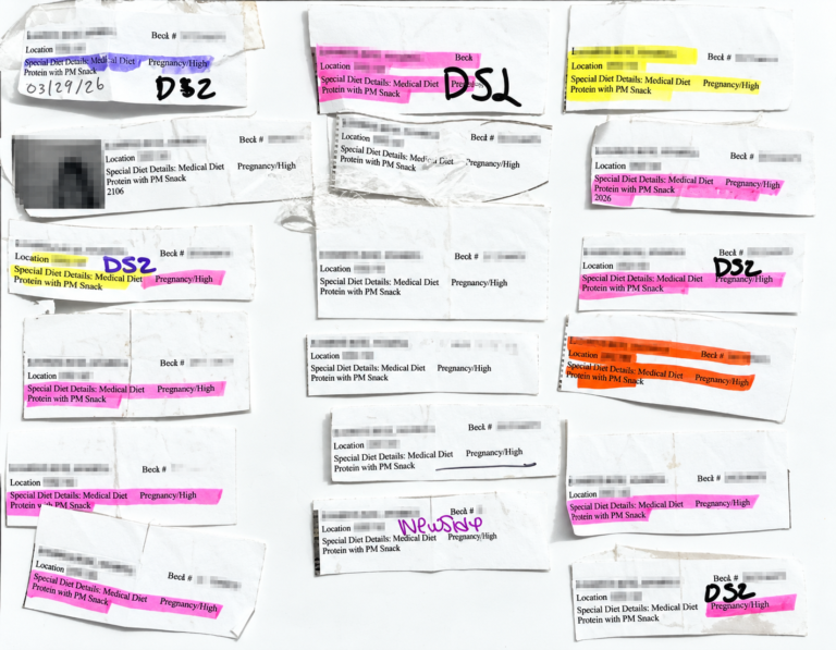 Grávidas sob custódia do ICE: o que está documentado sobre as perdas gestacionais e as falhas no atendimento